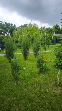 Продам дачу. Самарівський район - фото 1