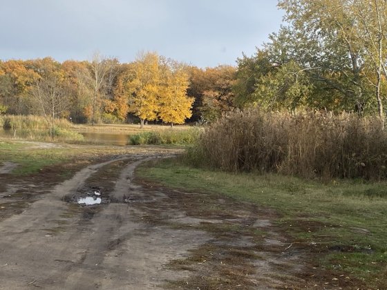 Продам участок 18 соток с жилым домом район острова ул.Кутузова