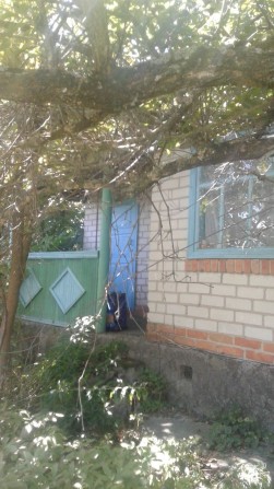 Дача Сади 5 недалеко от заливают - фото 1