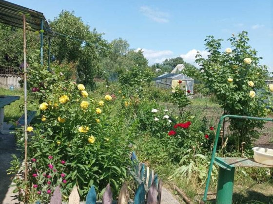 Продам дачу у товаристві "Днепр-2" Светловодск