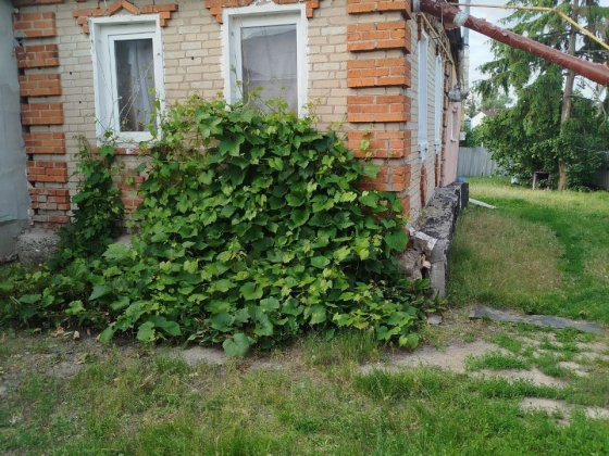 Продам 1/2 дома в Солоницевке, Заречанка, 28.6 м² Солоницівка