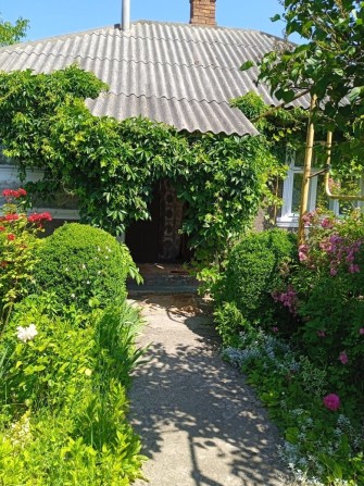 Продається будинок м.Хотин - фото 1