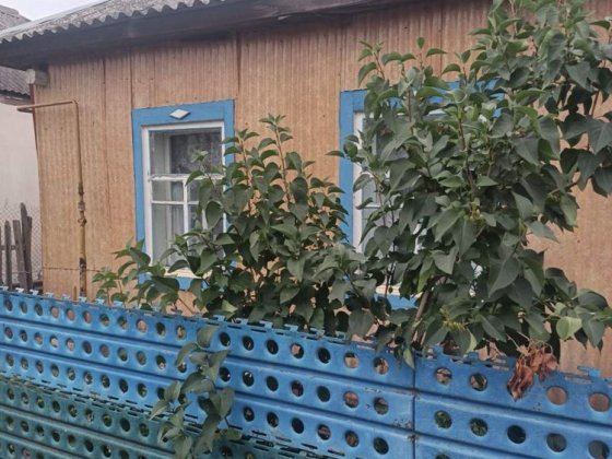 Продам частный дом Чугуїв