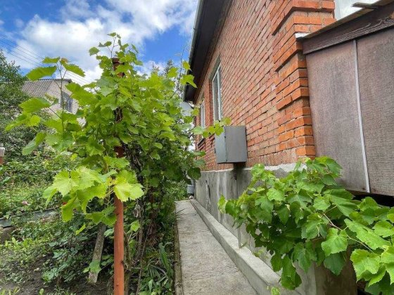 Продаж будинку Лезнево LIN 34333 Хмельницький