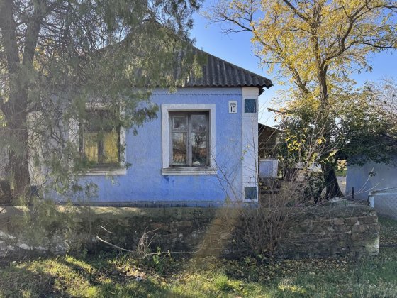 Будинок в селі Іванівка Південноукраїнськ