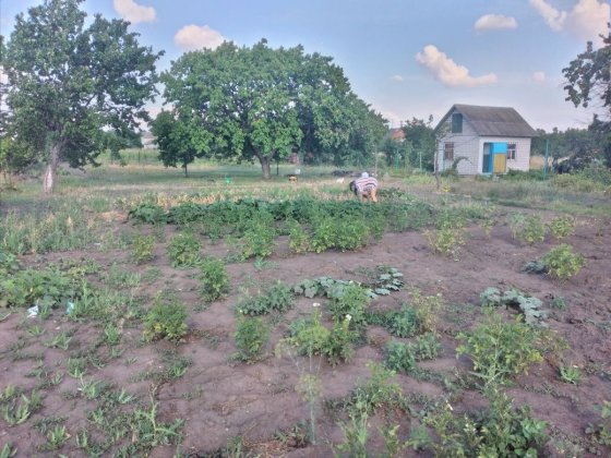 Дача. Дом. 10 соток Южноукраинск