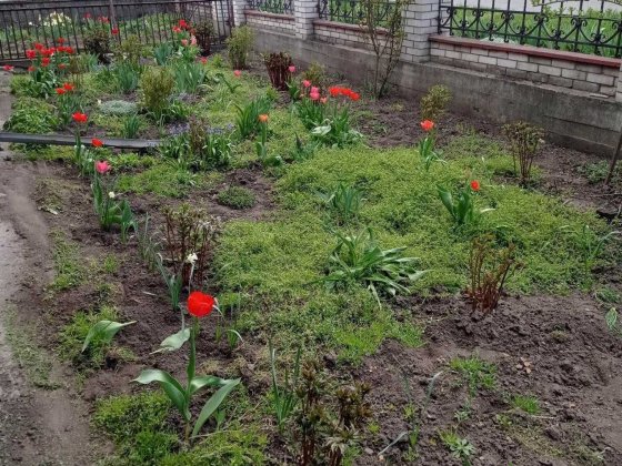 Продаж будинку Дубово LIN 38527 Хмельницький