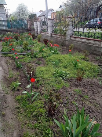 Продаж будинку Дубово LIN 38527 - фото 1