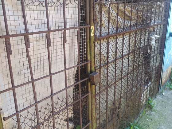 Продається хоздвор Ладыжин