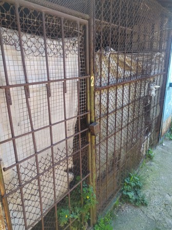 Продається хоздвор - фото 1