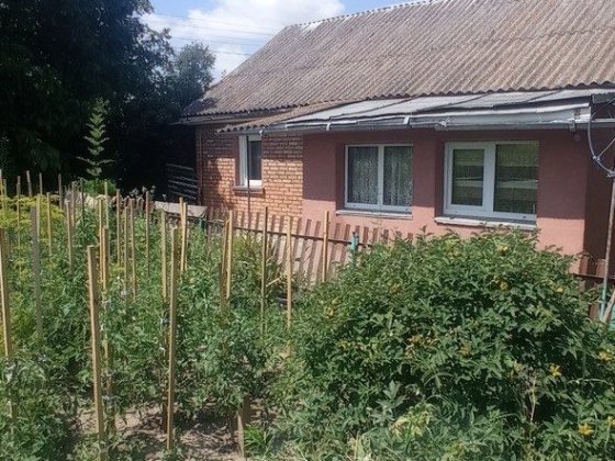 Будинок в с.Лісові Гринівці Хмельницький