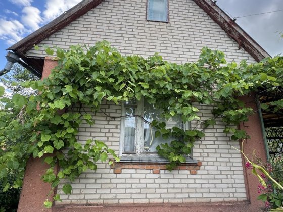 Продаж Неймовірного Дачного Будинку в Рибачому Петрик