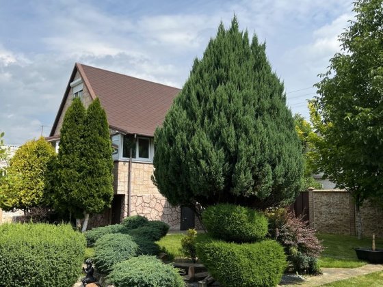 Продам загородный дом в Обуховке с бассейном!