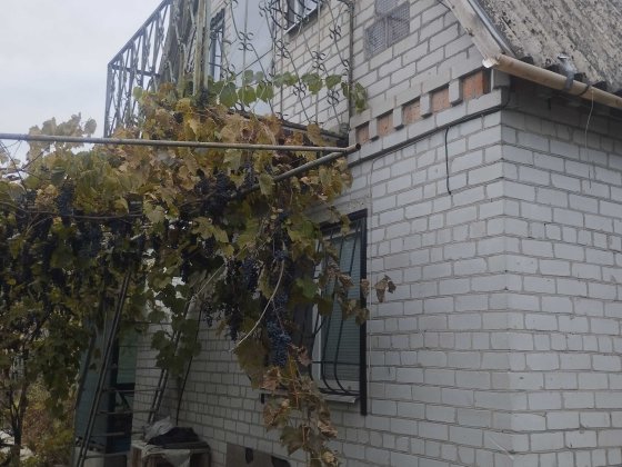 Продам дом -дачу в Подгородном за Перемогою СТ Горизонт Подгородное