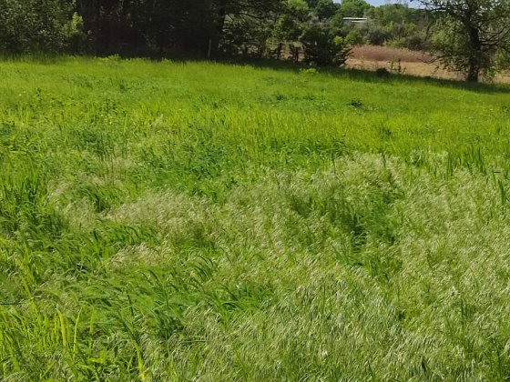 Продам участок,орловщина Орловщина