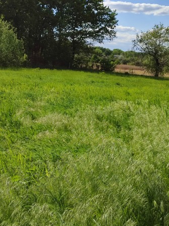 Продам участок,орловщина - фото 1