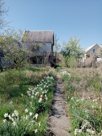 Продам дачу с/т " Стіновик" Байкальська, Дніпро - фото 1