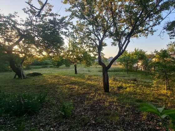 Продам будинок на ділянці 19,8 соток Підгородне
