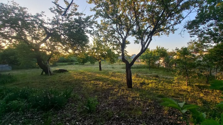 Продам будинок на ділянці 19,8 соток - фото 1