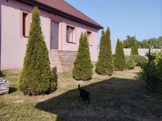 Продам ДОМ в Подгороднем!!! Підгородне