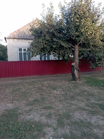 Продам будинок м. Синельникове - фото 1