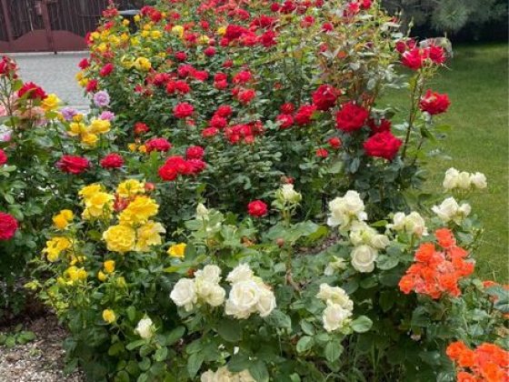 Продам дом в Подгорном Підгородне