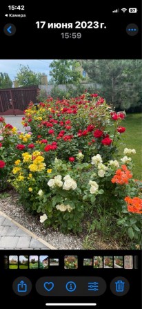 Продам дом в Подгорном - фото 1