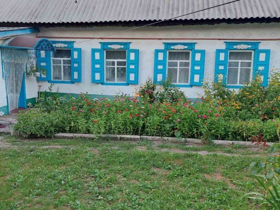 Продам дом в Елизаветовке.