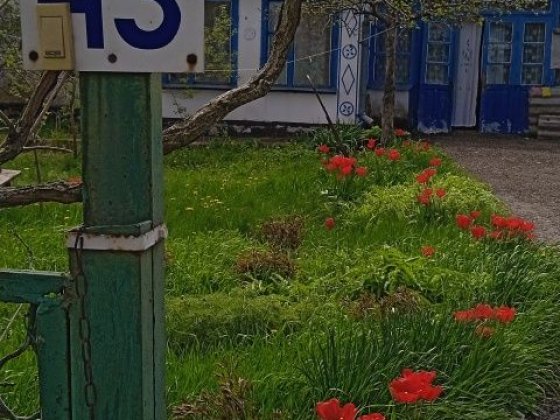 Продається будинок. Криворізький район. Апостолове