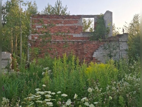 Недобудова дачний масив Довжик