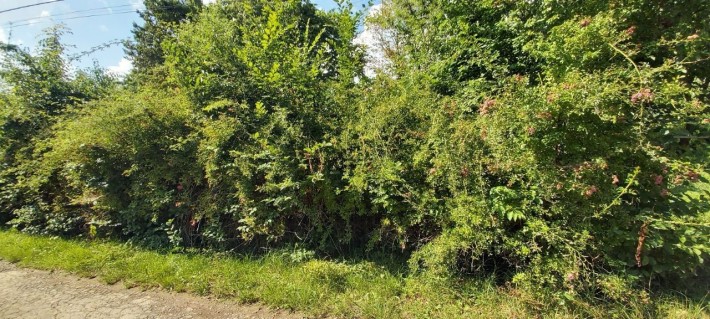 Продам будинок в  Сваляві - фото 1