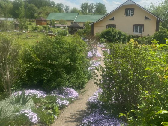 Продаж домоволодіння з власним ставком Тлумач