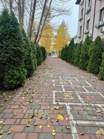 Продаж будинку 270 м.кв та ділянки 6 соток. Під бізнес або житло. - фото 1