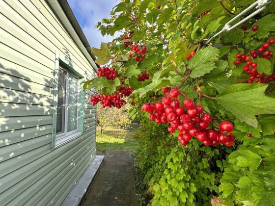 Продаж будинку, 5 кімнат, 7 соток, Ворзель, вул. Кичеївська. ГАЗ Ворзель