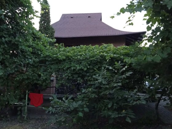 Продажа дачного будинку смт. Чабани Чабаны