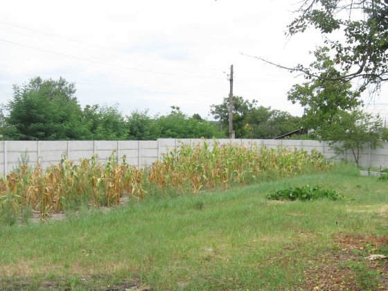 Продам участок 25 соток в с. Вишенки или обмен на квартиру в Киеве Вишеньки