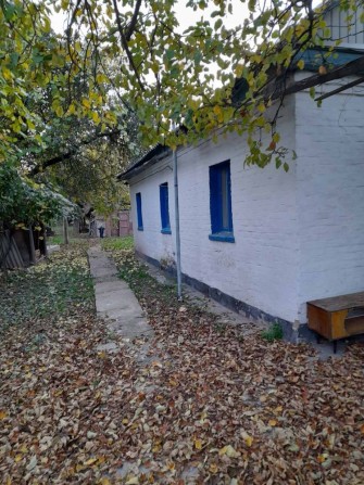 Продаж фасадної ділянки в Нових Петрівцях - фото 1