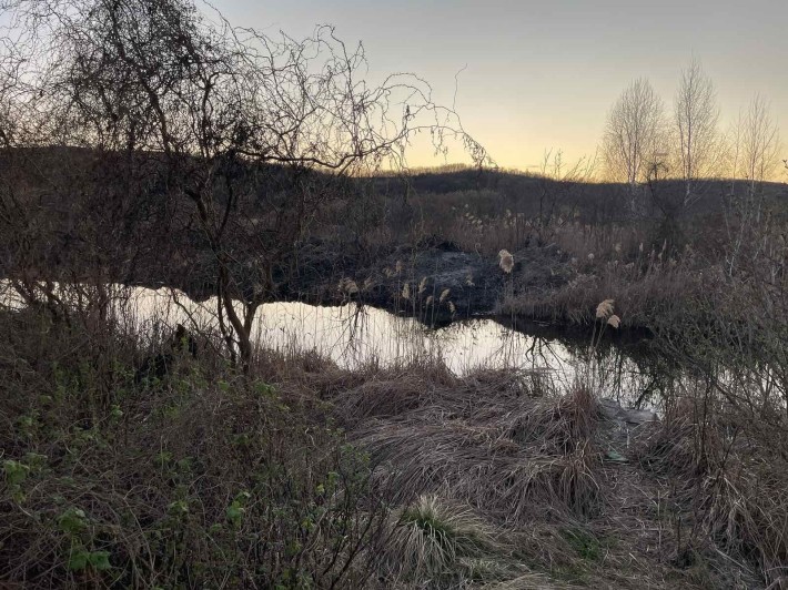 Продаж будинку с.Підгірці,власний вихід до води - фото 1