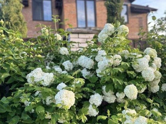 Продаж/Будинок/160 м2/Гореничі/вул. Соборна/Києво-Святошинський район Гореничі