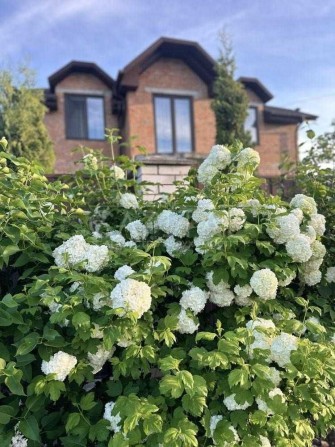 Продаж/Будинок/160 м2/Гореничі/вул. Соборна/Києво-Святошинський район - фото 1