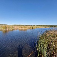 Продаж будинку. Село Новотаромське. ( Валове ). Напрямок Кудашівки. Кривий Ріг