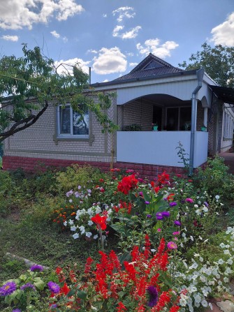 Будинок в Богуславі - фото 1