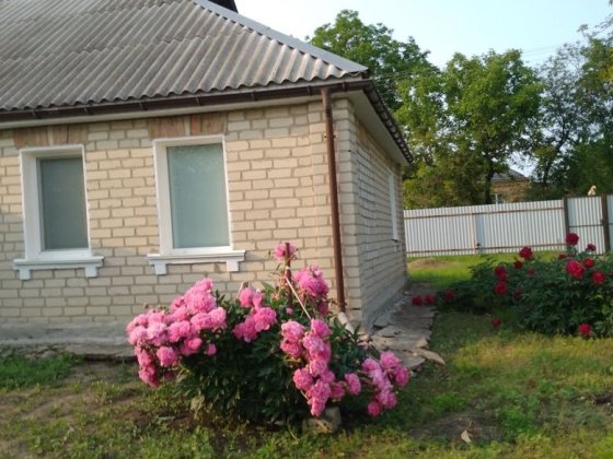 Продам свій будинок в Кагарлику. Кагарлык