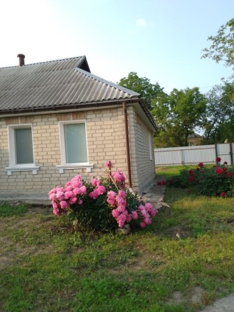 Продам свій будинок в Кагарлику. - фото 1