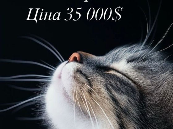 Продаж будинку м. Кагарлик Кагарлык