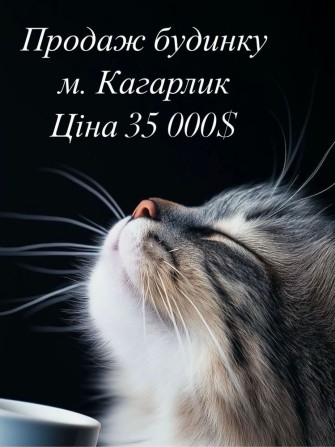 Продаж будинку м. Кагарлик - фото 1