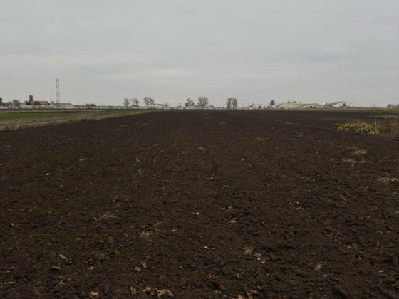 Продам земельну ділянку з будинком(під ремонт) в Узинській ОТГ Узин