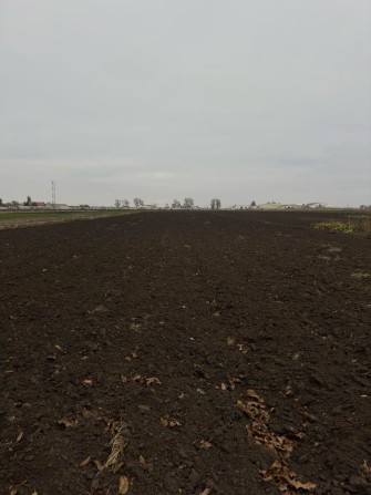 Продам земельну ділянку з будинком(під ремонт) в Узинській ОТГ - фото 1