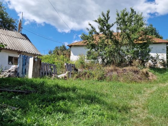 Продам житловий будинок Тараща