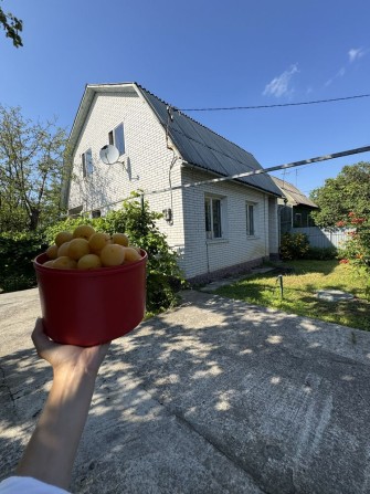 Продаж Дача в Глевасі! Без Комісії! - фото 1